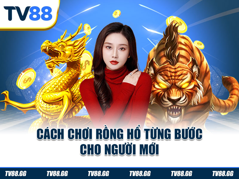 Cách chơi Rồng Hổ từng bước cho người mới
