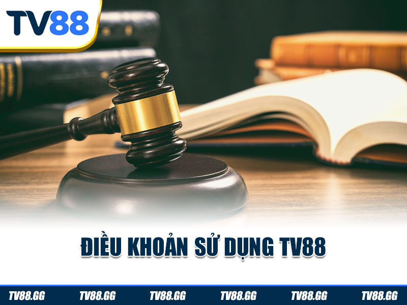 Điều kiện sử dụng dịch vụ