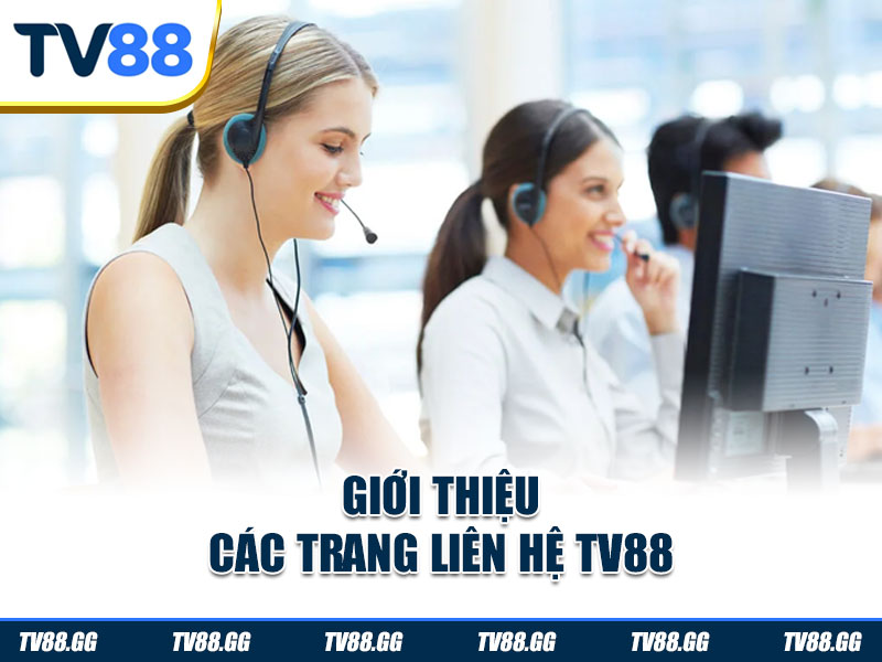 Hướng dẫn liên hệ và nhận hỗ trợ